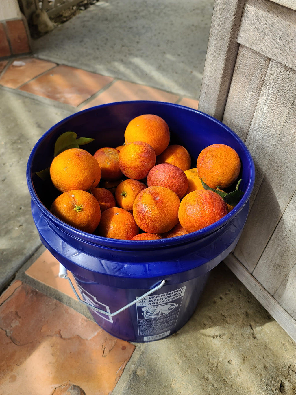 California Citrus