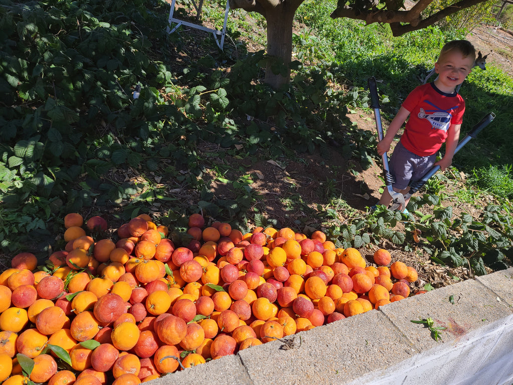 California Citrus