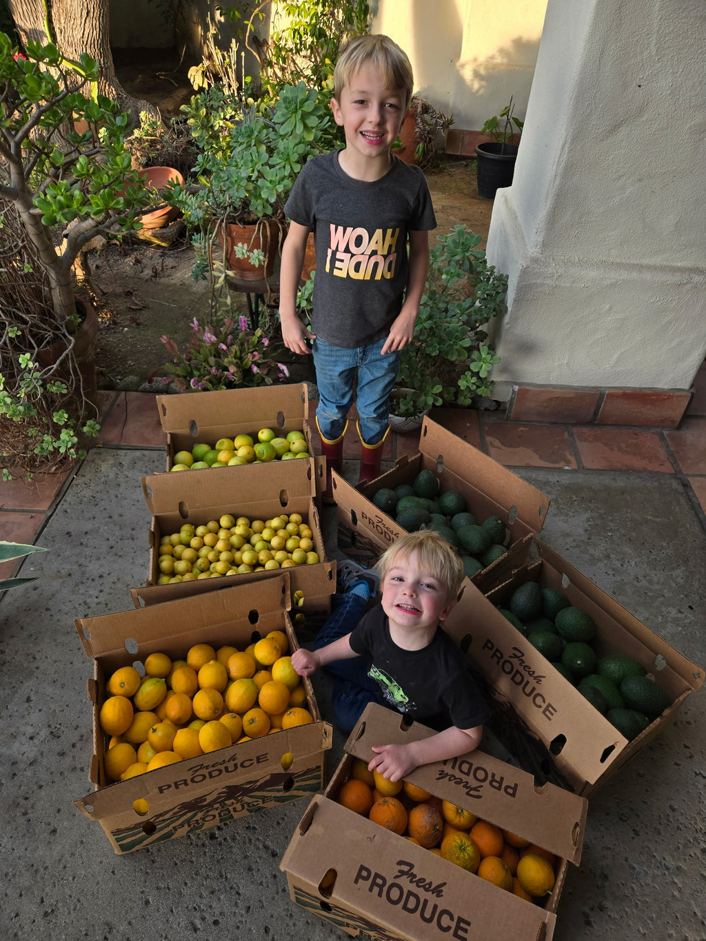 California Citrus